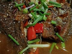 -鑫农家大院(余家头店)