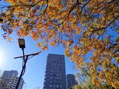 -元大都城垣遗址公园