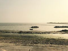 -合肥滨湖国家森林公园