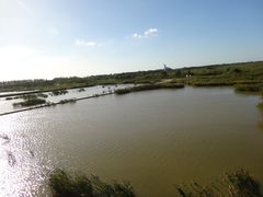 景点-盐城丹顶鹤湿地生态旅游区