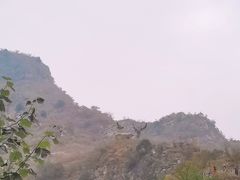 -圣莲山风景区