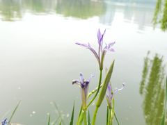 -朝阳公园
