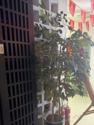-花隐瑜伽·普拉提·红绳
