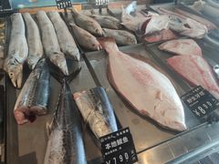-浩运·海鲜青岛菜·海胆水饺(石老人店)