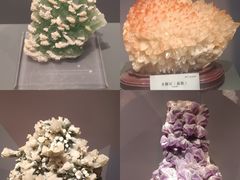 -湖南省地质博物馆