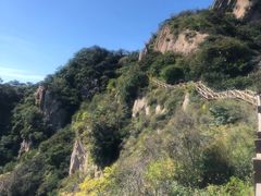 -大岭沟猕猴桃谷风景区