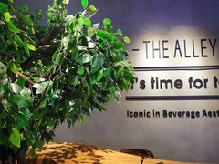 -THE ALLEY 鹿角巷(华润万象城店)