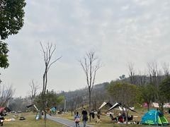-金海湾滨江公园