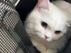 -芭比堂动物医院广州顽皮分院