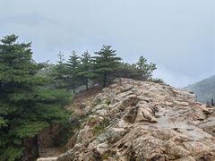 -泰山风景名胜区