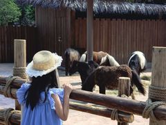 -福州罗源湾海洋世界旅游区