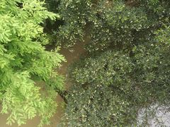 -云溪植物园