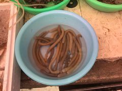 -荣祥海鲜·烟台菜(胜利路二部)
