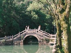 -玉苍山国家森林公园