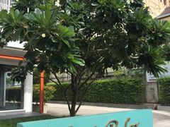 -Let's Relax Spa(Phuket 3rd Street)