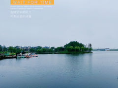 -杭州湾海上花田景区