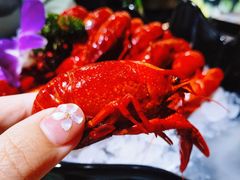 冰镇小龙虾-龙虾风暴(松江店)