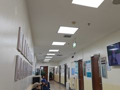 -美联众合动物医院·24h转诊中心