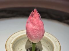 -桂语山房(满觉陇店)