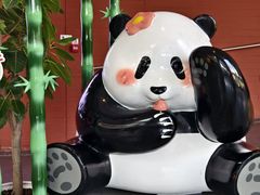 -四川大学博物馆
