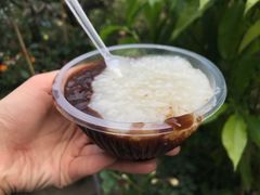 -潘玉麟糖粥