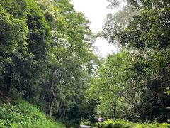 -三门江国家森林公园