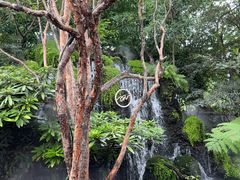-Chom Cafe and Restaurant