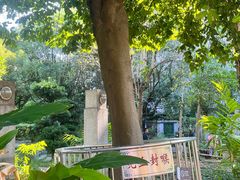 -广州神农草堂中医药博物馆