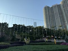 -九龙公园