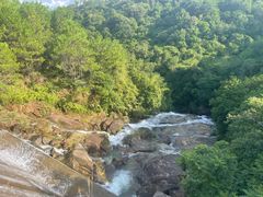 -广州白江湖森林公园