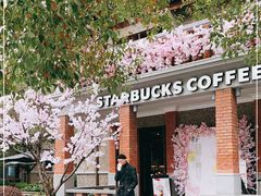 -星巴克臻选(思南公馆店)