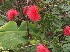 -优游吧斯邹族文化部落