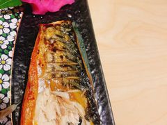 -鱼四季(五彩世界店)