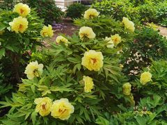 -大钟寺古钟博物馆