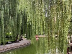-团结湖公园