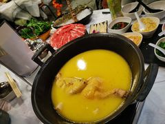 浓厚原只鸡煲花胶汤-鲜入围煮花胶鸡海鲜火锅