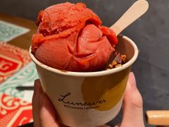 黑巧克力冰淇淋-LUNEURS月乐诗 冰淇淋咖啡(环贸店)