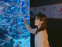 -成都浩海立方海洋公园