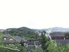 风味大拉皮-东方饺子王(创始店)