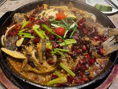 -老板恋上鱼(恒隆广场店)