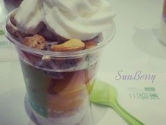 地理-三佰瑞冻酸奶(凯德MALL店)