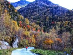 -叠溪松坪沟景区