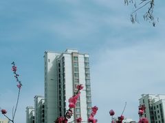 -南翠屏公园