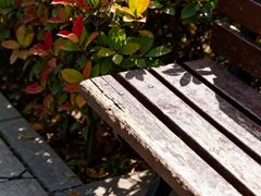 -西安市长乐公园