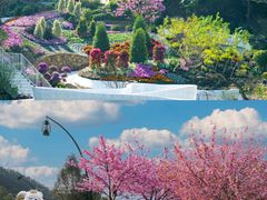 -广州市石门国家森林公园