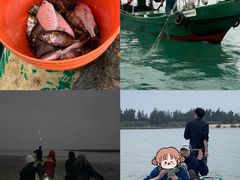 -硇洲岛旅游区