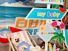 -百好乐宠物友好餐厅(朝外大街店)