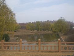 -灵谷景区