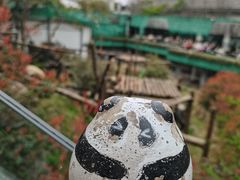-红山森林动物园