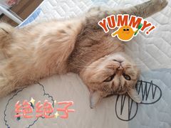 -马洪小炒泡馍馆(钟楼回民街店)